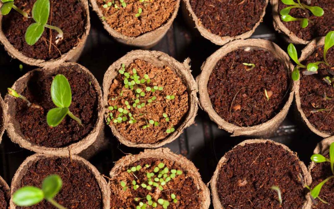 NEW BEGINNINGS: A JOURNEY TOWARDS POSITIVITY AND PRESENCE