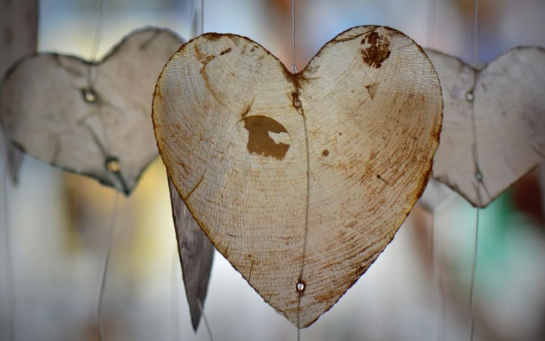 NEW WAY OF SEEING, OF BEING