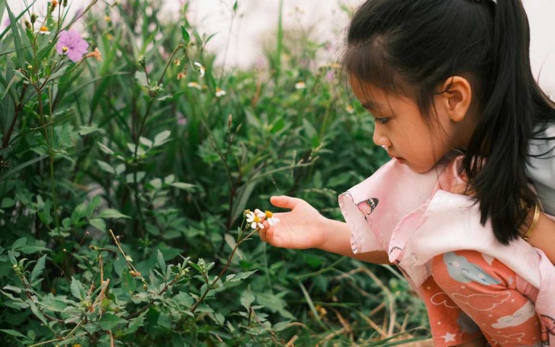 BACK TO WONDER: SEEING LIFE WITH NEW PERSPECTIVE