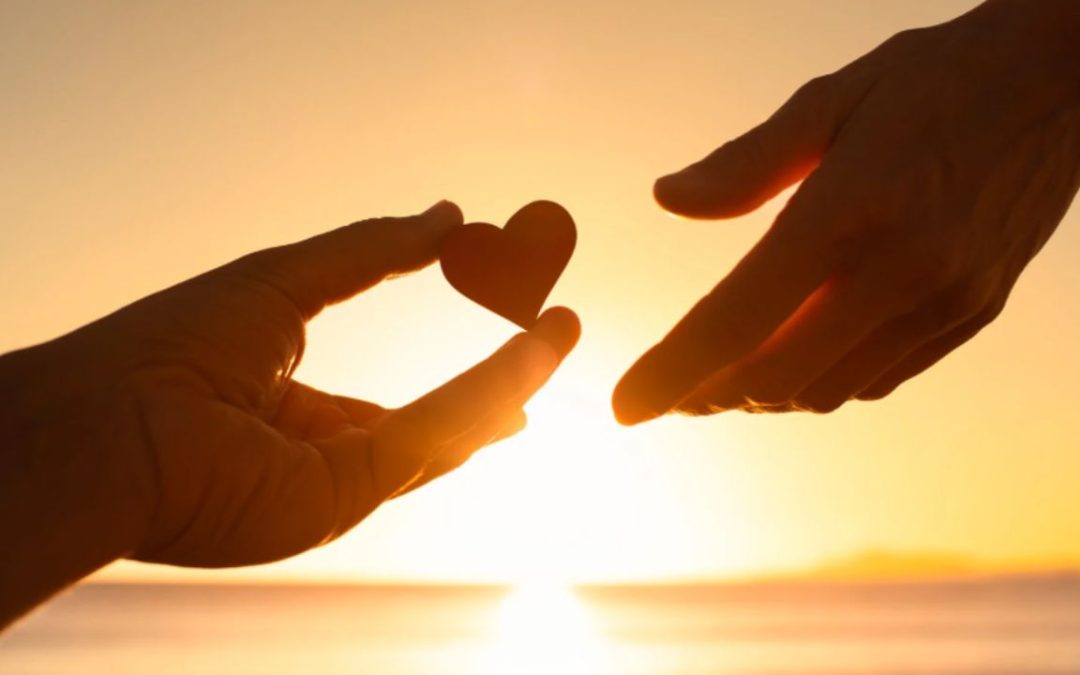 BEING KIND vs. BEING NICE | A PERSONAL REFLECTION