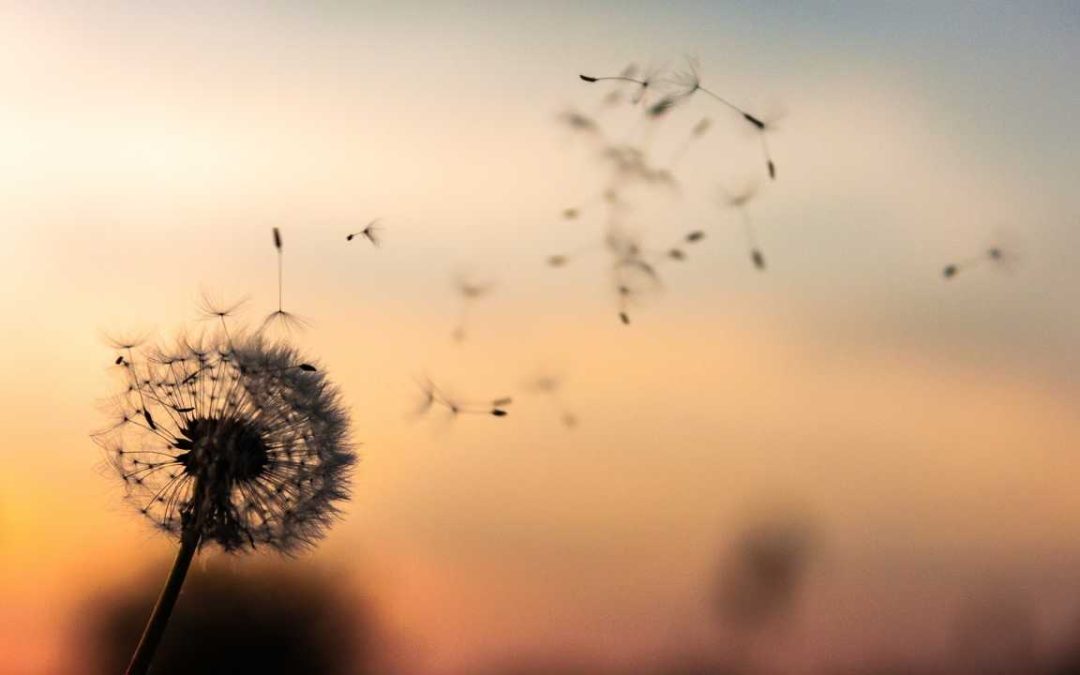 BECOMING ME: LEAVING OLD BELIEFS BEHIND