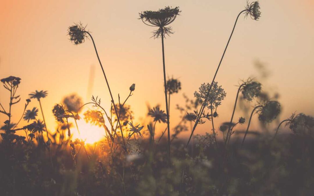 TURNING MORNINGS INTO MOMENTS THAT MATTER