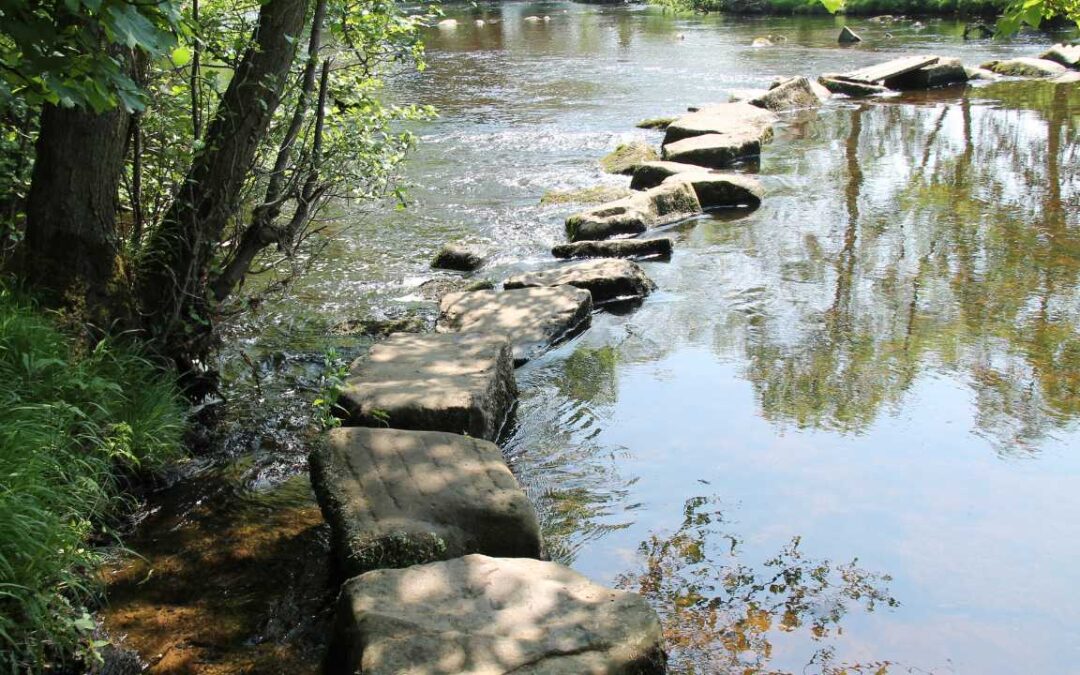 MEDITATION: FINDING PRESENCE IN THE MOMENT