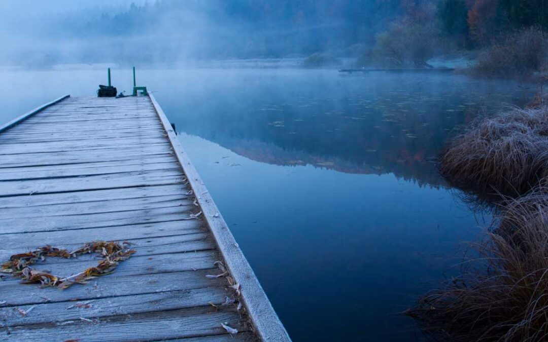 GROUNDING: COMING BACK TO PRESENCE