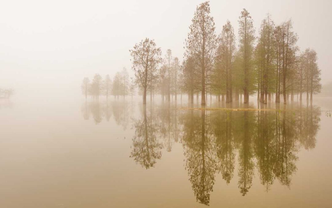 THROUGH DIFFERENT EYES