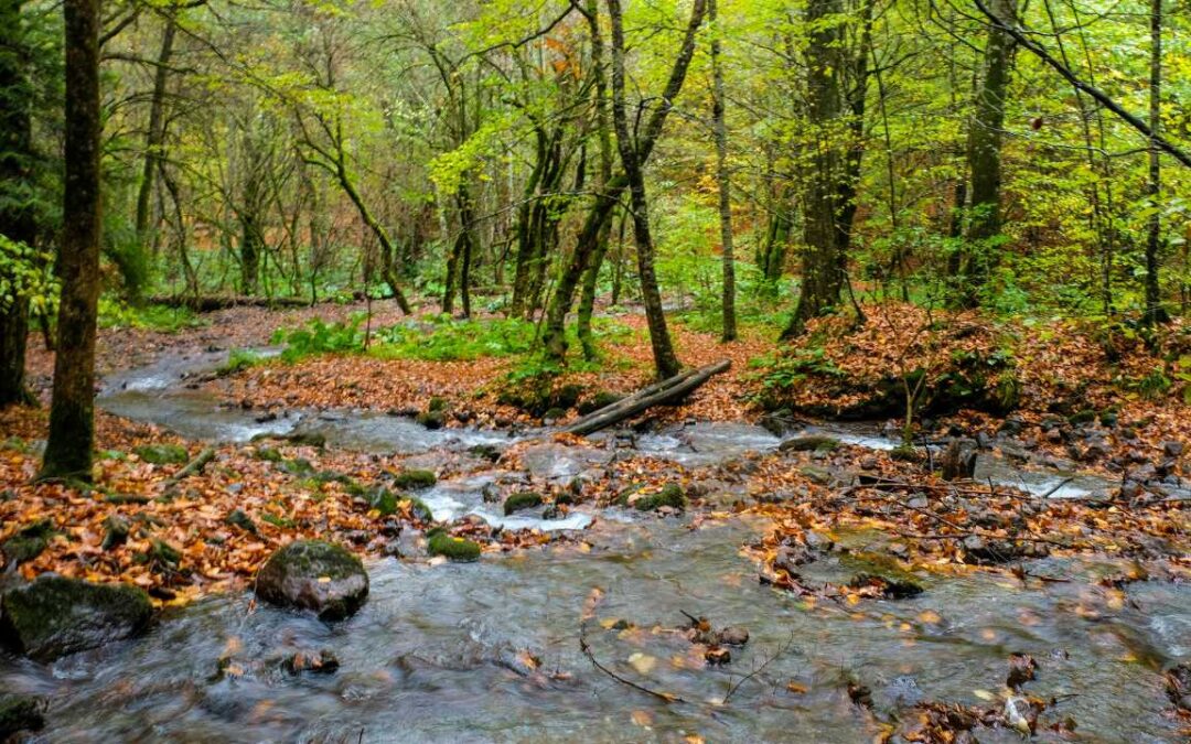 WHAT WE’RE GIVEN, WHAT WE CHOOSE