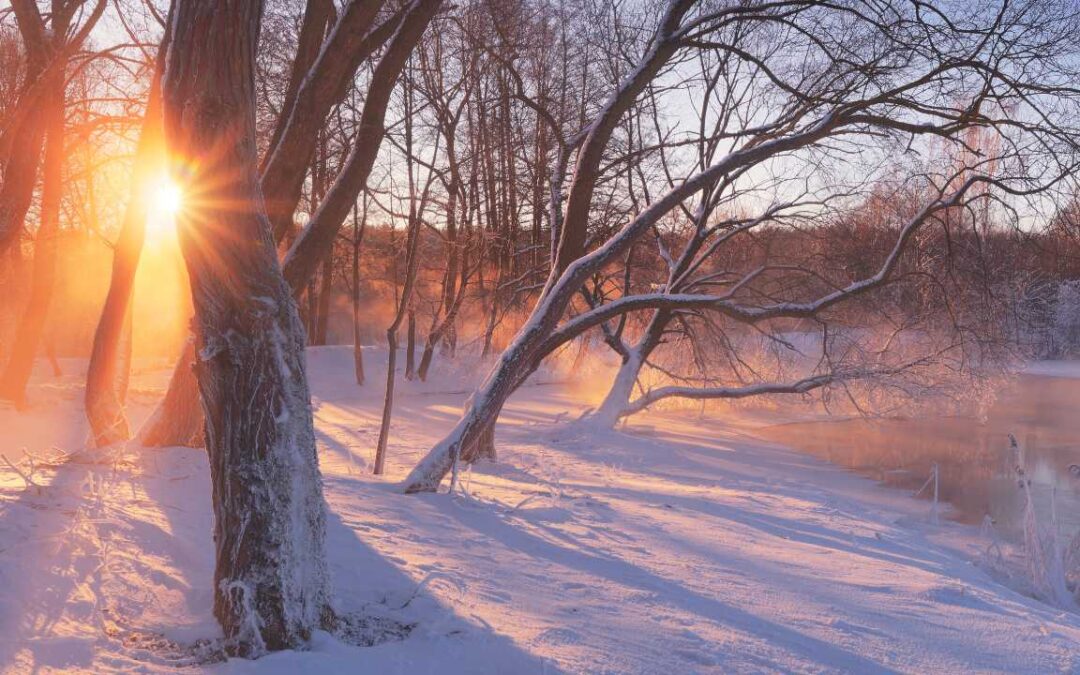 WINTERING WITH COMPASSION