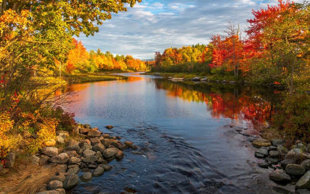 AS THE RIVER CHANGES COURSE – Without Forcing the Current