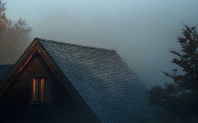 HELD IN FOG